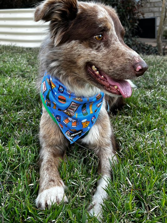 Friday Night Hangs - Bandana