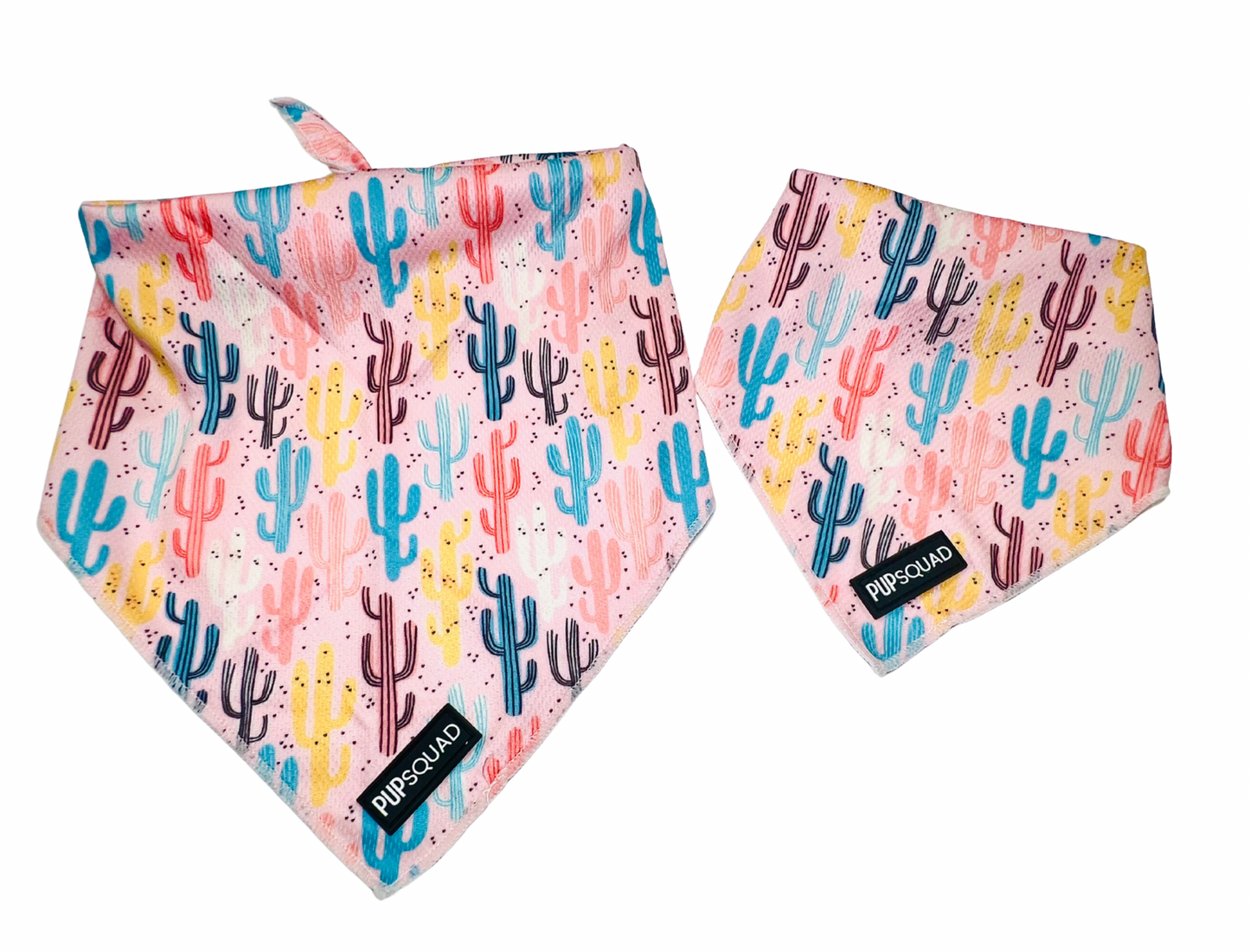 Cacti Cool - Bandana