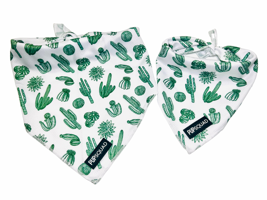 Simply Succulent - Bandana