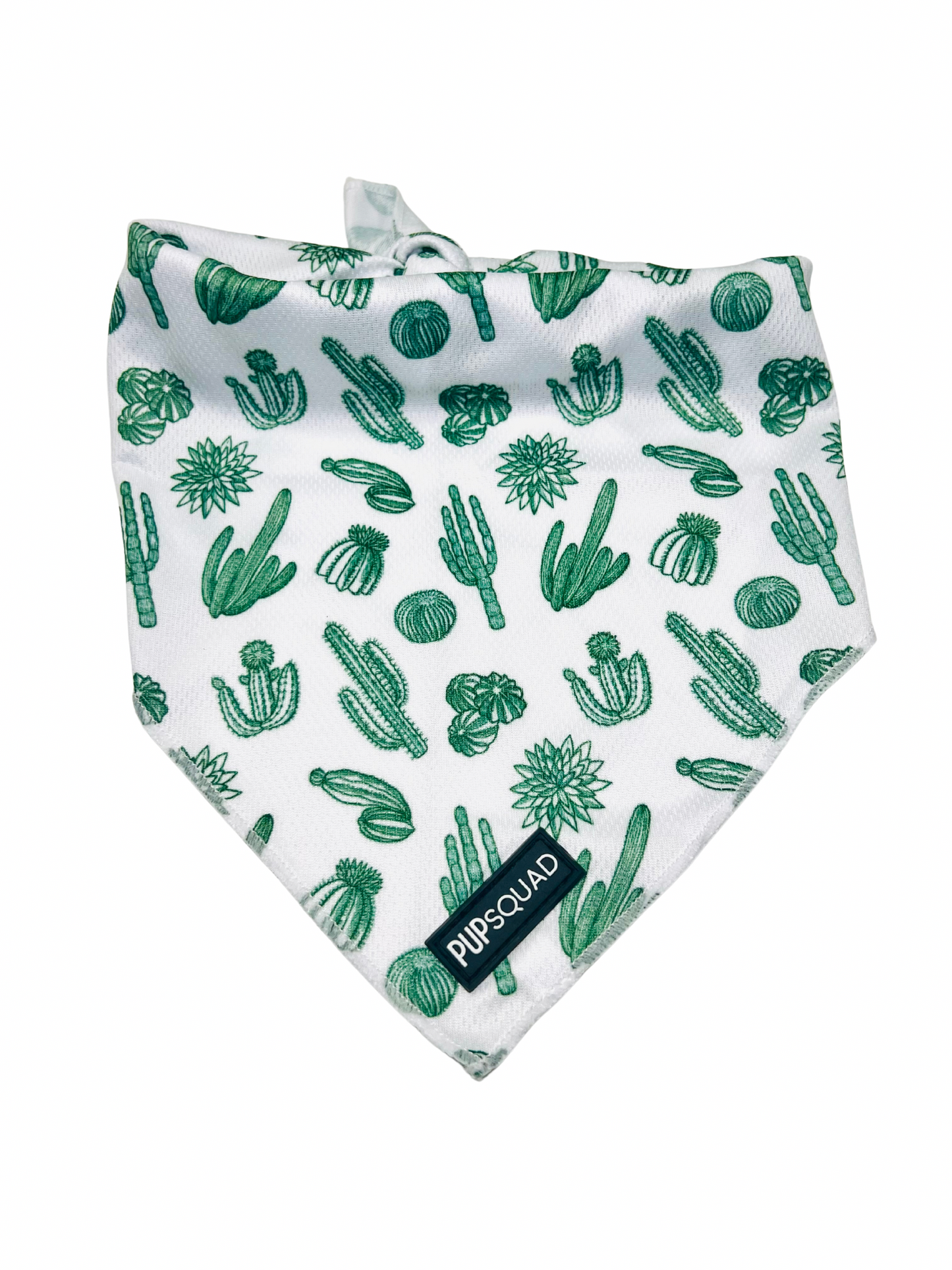 Simply Succulent - Bandana