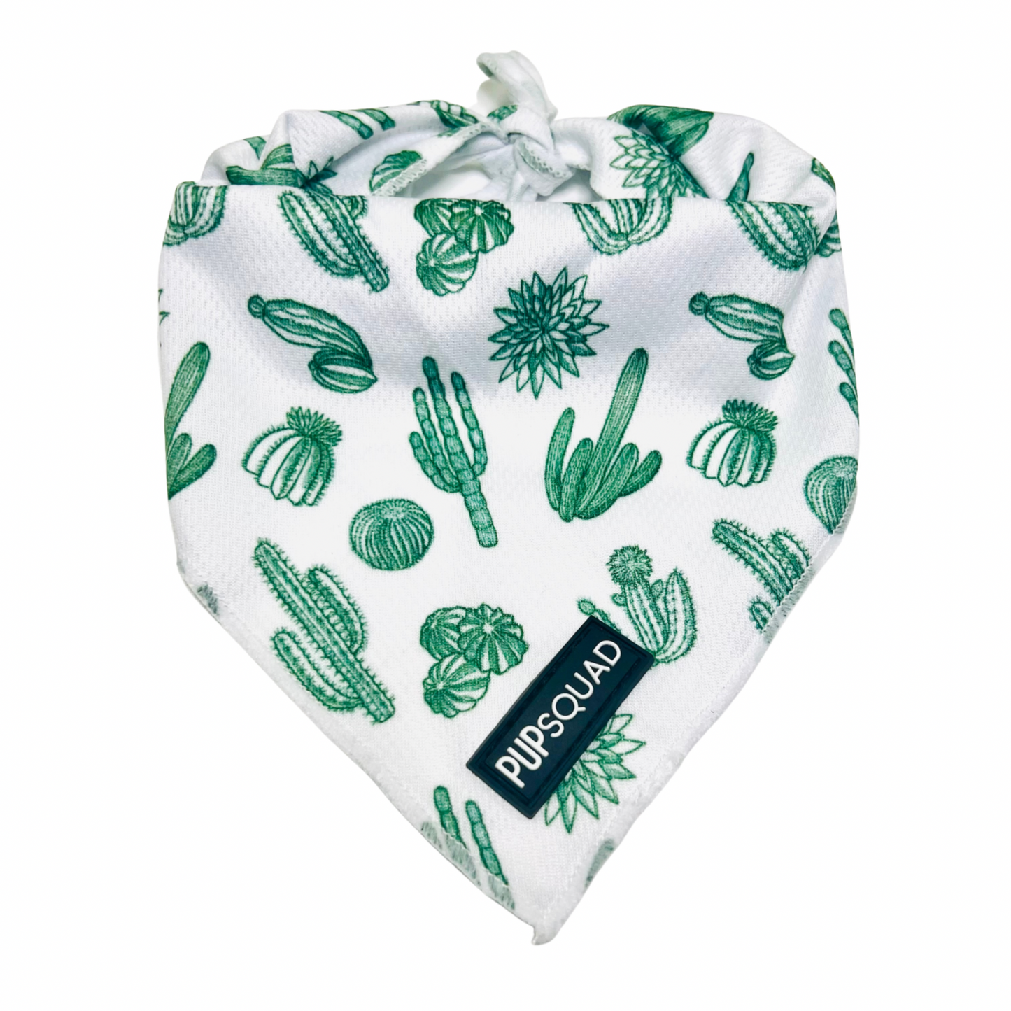 Simply Succulent - Bandana