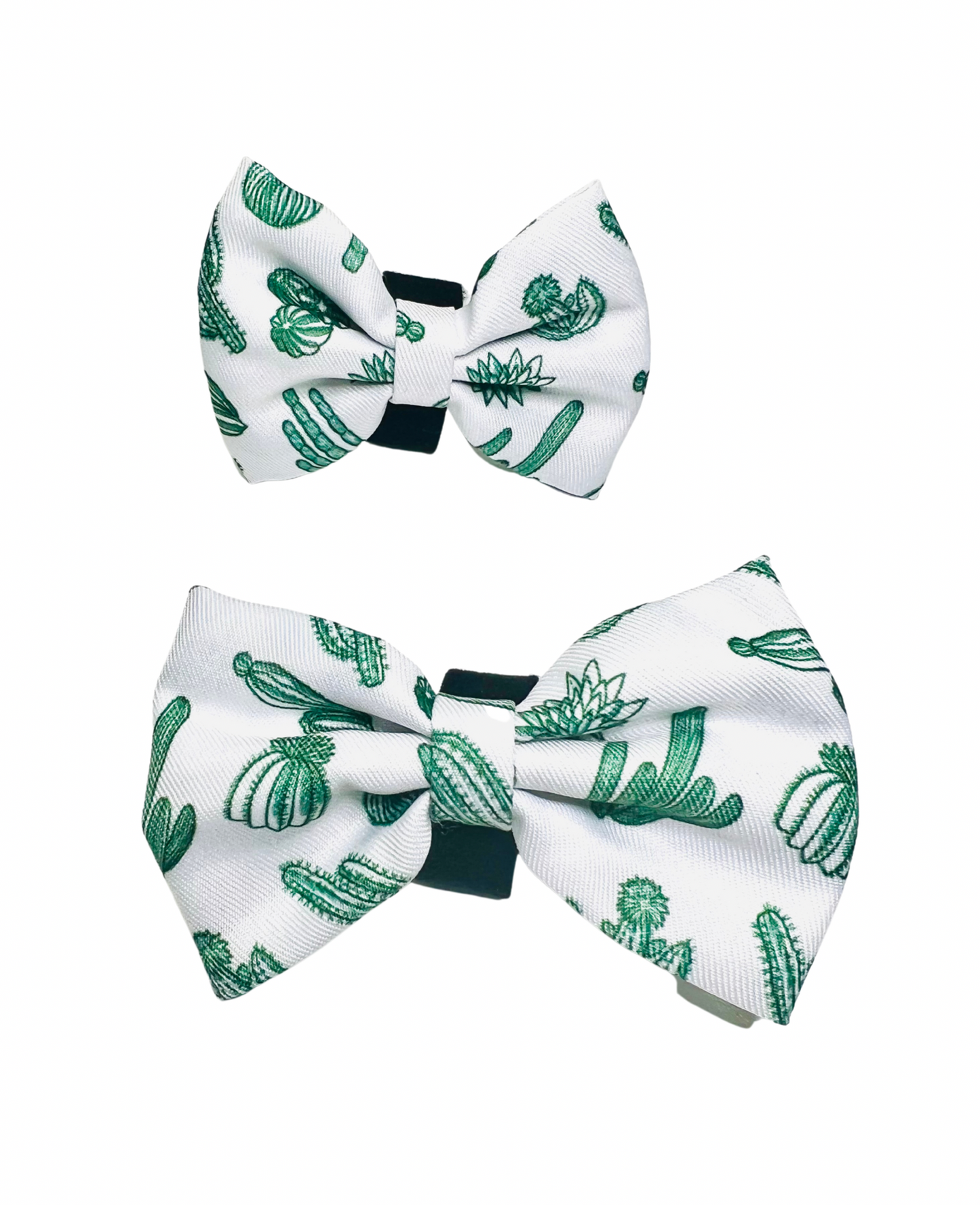 Simply Succulent - Bow Tie